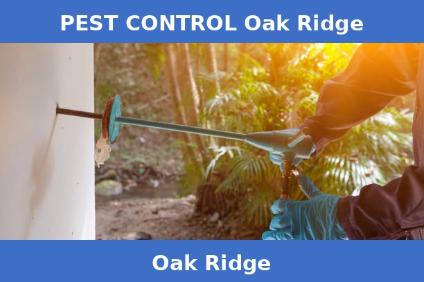 PEST CONTROL Oak Ridge